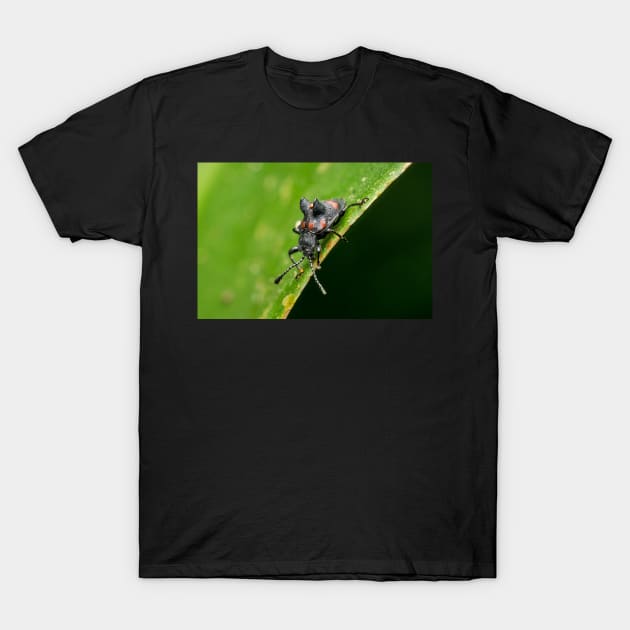 Unique and organic photo of a fungus beetle with a mite on its back T-Shirt by AvonPerception
